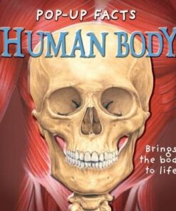 Pop-up Facts: Human Body - Richard Dungworth