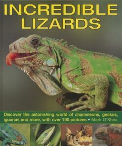 Exploring Nature: Incredible Lizards: Discover the Astonishing World of Chameleons