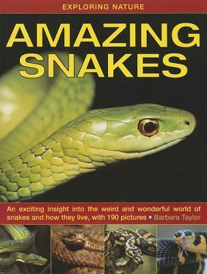 Exploring Nature: Amazing Snakes: an Exciting Insight into the Weird and Wonderful World of Snakes and How They Live