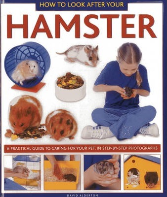 How to Look After Your Hamster: A Practical Guide to Caring for Your Pet