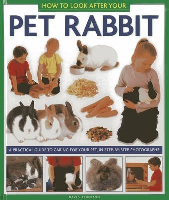 How to Look After Your Pet Rabbit - David Alderton