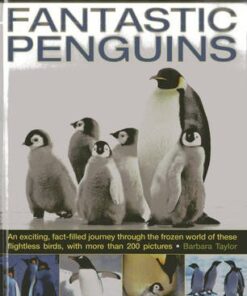 Exploring Nature: Fantastic Penguins: An Exciting