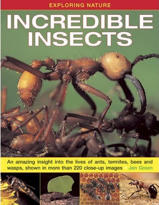 Exploring Nature: Incredible Insects: An Amazing Insight into the Lives of Ants