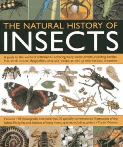 Natural History of Insects - Martin Walters