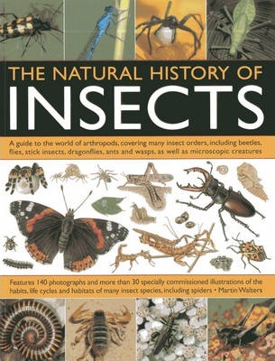 Natural History of Insects - Martin Walters
