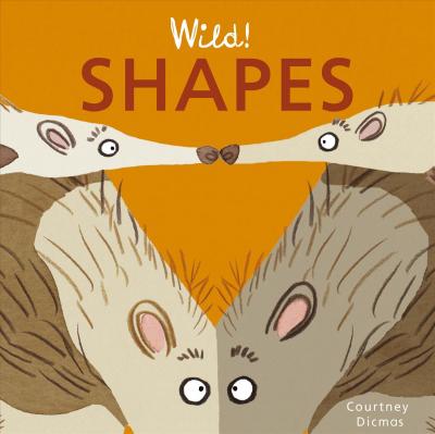 Shapes - Courtney Dicmas