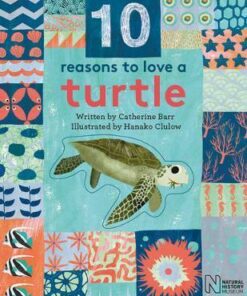 10 Reasons to Love a... Turtle - Catherine Barr