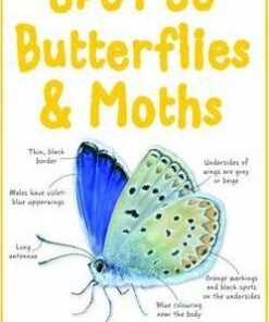 Spot 50 Butterflies and Moths - Belinda Gallagher
