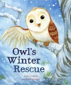 Animal Seasons: Owl's Winter Rescue - Anita Loughrey