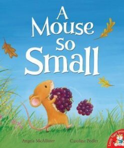 A Mouse So Small - Angela McAllister