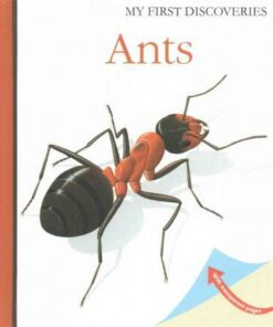 Ants - Rene Mettler