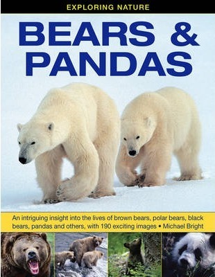 Exploring Nature: Bears & Pandas: An Intriguing Insight into the Lives of Brown Bears