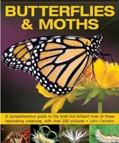 Exploring Nature: Butterflies & Moths - John Farndon