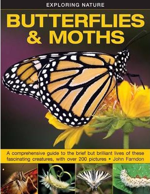 Exploring Nature: Butterflies & Moths - John Farndon