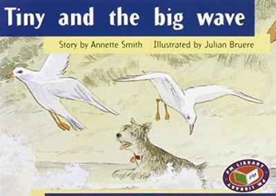 PM Storybooks Level 8: Tiny and the Big Wave -