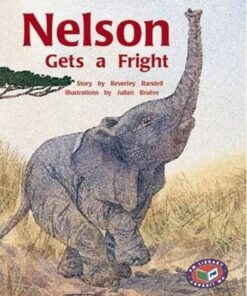 PM Storybooks Level 19: Nelson Gets a Fright - Beverley Randell