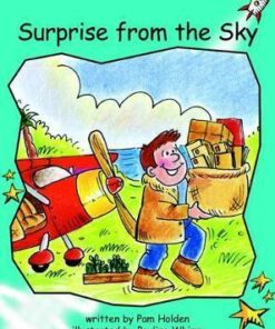 Surprise from the Sky - Pam Holden