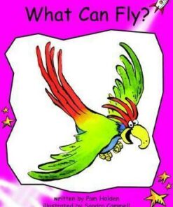 What Can Fly? - Pam Holden