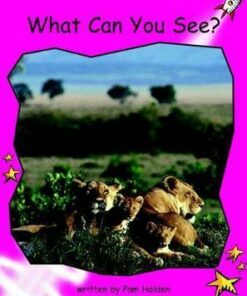 What Can You See? - Pam Holden