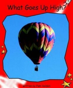 What Goes Up High? - Pam Holden