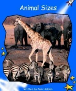 Animal Sizes - Pam Holden