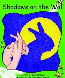 Shadows on the Wall - Pam Holden