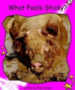 What Feels Sticky? - Pam Holden