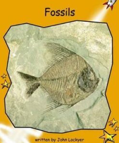 Fossils - John Lockyer
