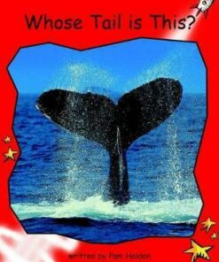 Whose Tail is This? - Pam Holden