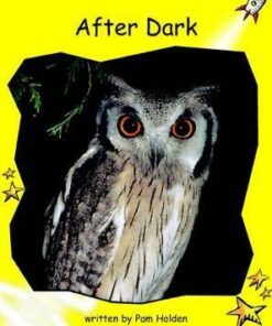 After Dark - Pam Holden