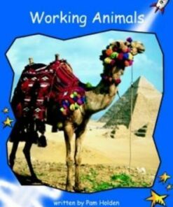 Working Animals - Pam Holden