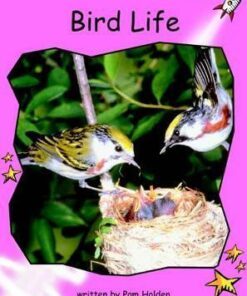 Bird Life - Pam Holden