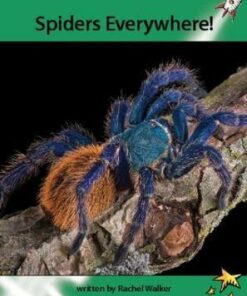Spiders Everywhere! - Rachel Walker