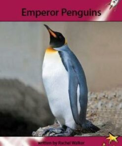 Emperor Penguins - Rachel Walker