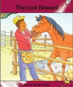 The Lost Reward - Pam Holden