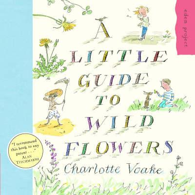 A Little Guide To Wild Flowers - Charlotte Voake