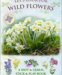 Let's Look for Wild Flowers - Caz Buckingham