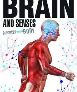 Brain and Senses - Dr Jen Green