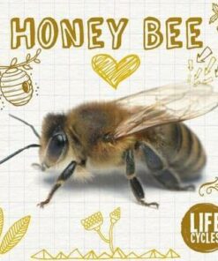 Life Cycle of a Honey Bee - Grace Jones