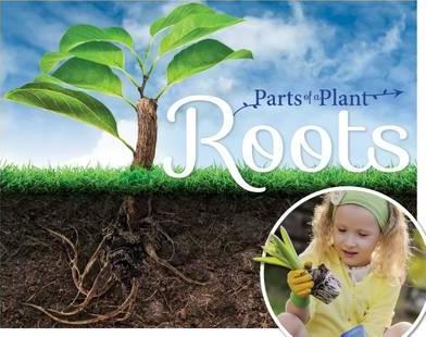 Roots - Gemma McMullen