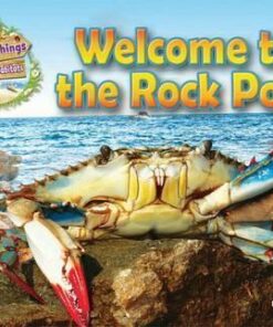 Living Things and Their Habitats: Welcome to the Rock Pool: 2016 - Ruth Owen