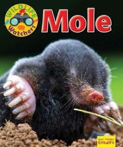 Wildlife Watchers: Mole: 2017 - Ruth Owen