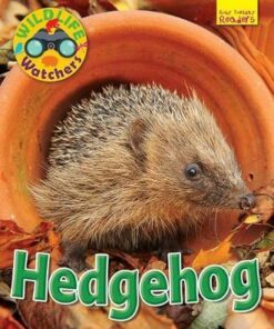 Wildlife Watchers: Hedgehog: 2017 - Ruth Owen