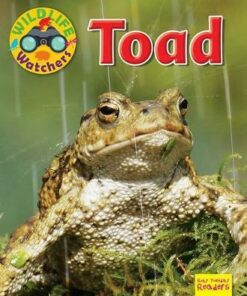 Wildlife Watchers: Toad: 2017 - Ruth Owen