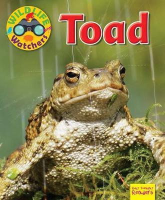 Wildlife Watchers: Toad: 2017 - Ruth Owen