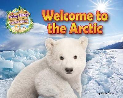 Welcome to the Arctic - Honor Head