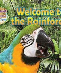Welcome to the Rainforest - Honor Head