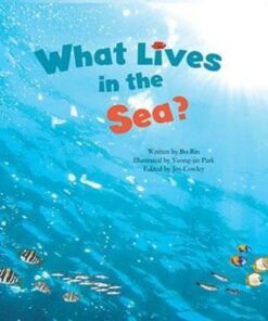 What Lives in the Sea?: Marine Life - Rin Bo