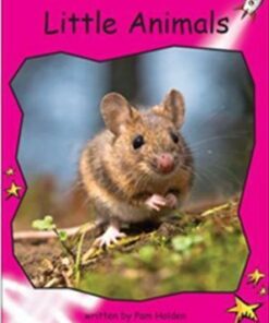 Little Animals - Pam Holden