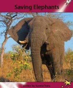 Saving Elephants - Suzette Toms